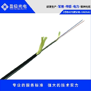2芯铠装野战光缆gmdkau-2b6-2.5-bl